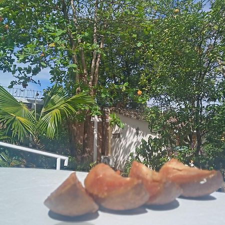 Hotel Casa Barcelona Гранада Екстериор снимка