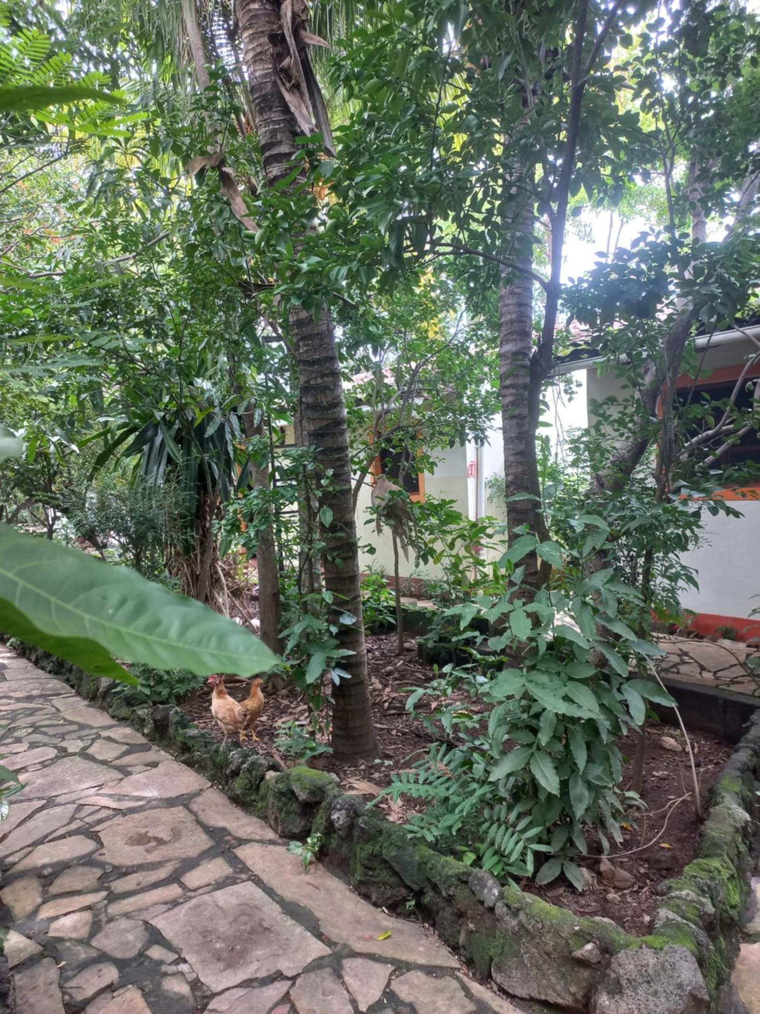 Hotel Casa Barcelona Гранада Екстериор снимка